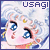  Usa-ko (Tsukino Usagi/Sailor Moon)